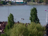 Дон Дон